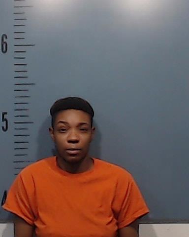 Alonzo-Harden, Tiara Simone booking photo