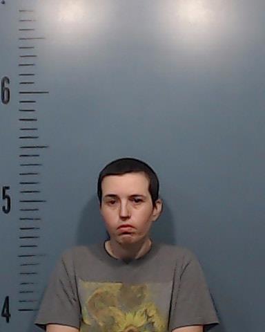 Earnest, Summer Shatel booking photo