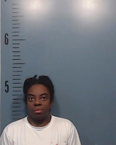 Bernardez Martinez, Cielos Nicole booking photo