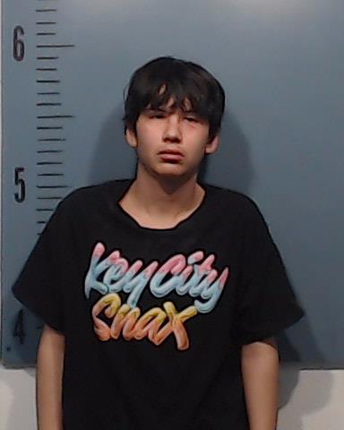 Burnett, Nathan Kyle, Jr. booking photo