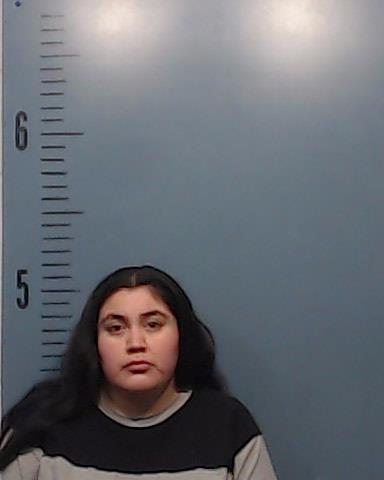 Rangel, Andrea Maria Michelle booking photo