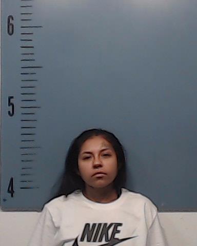 Gonzales, Aneesa booking photo