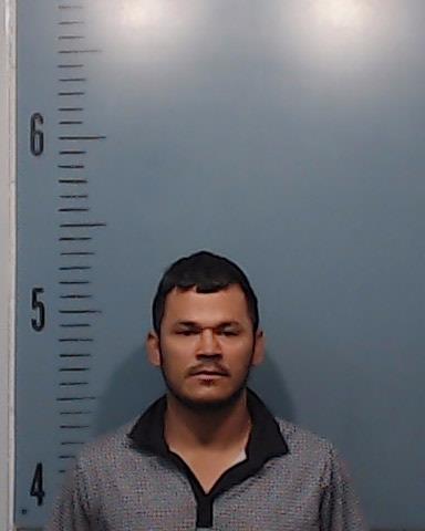 Ramirez-Paz, Misael Abdenago booking photo