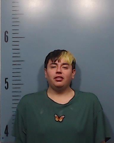 Reyes Barrios, Isaias booking photo