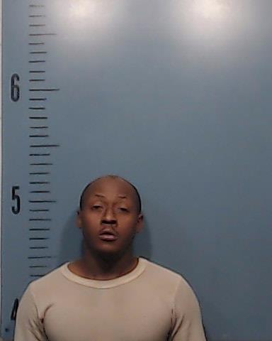 Body, William Xavier T Biya booking photo