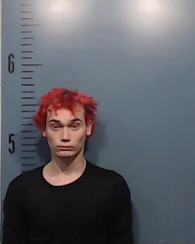 Mosley, Landon Shane booking photo