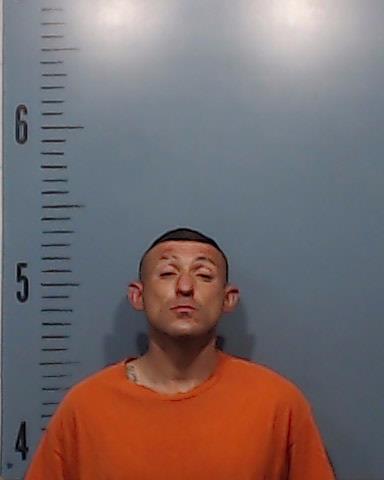 Trowbridge, Andrew Lewis booking photo