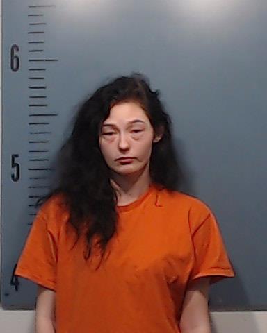 Janics, Skilor Dawn Chiynne booking photo