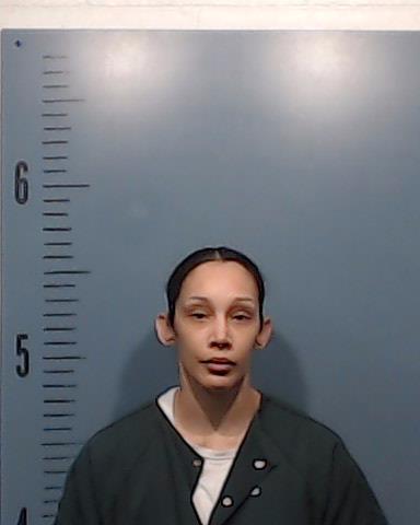 McGill, Henri Ann booking photo