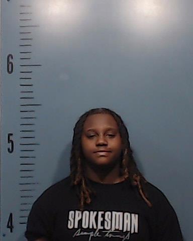 Turner, Dei'janae Monique booking photo