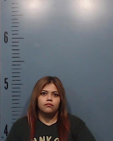 Gomez, Katherine Nicole booking photo