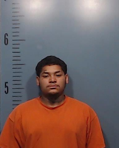 Scroggins, Alex, Jr. booking photo
