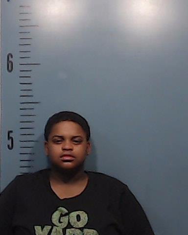 Johnson, Randi Brenae booking photo