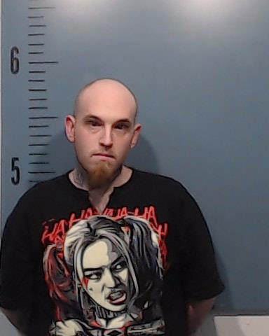 Land, Taylor Ray booking photo