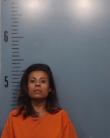 Donaghey, Felisita Villegas booking photo