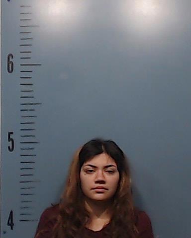 Ponce, Jessania Leann booking photo