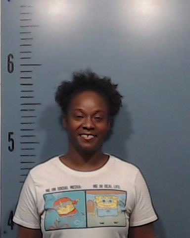 Brooks, Selisha Donniece booking photo