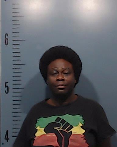 Wyatt, Willie Charles booking photo