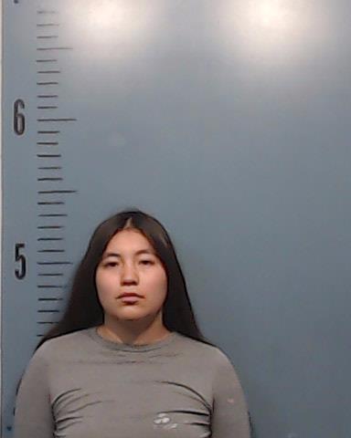 Sanchez Castro, Jazmin booking photo