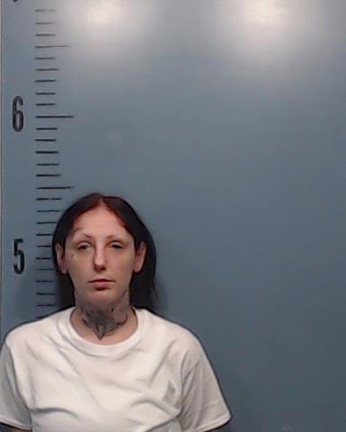 Woodyard, Samantha Nicole booking photo