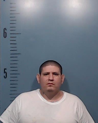 Trejo, Raymond Lee booking photo