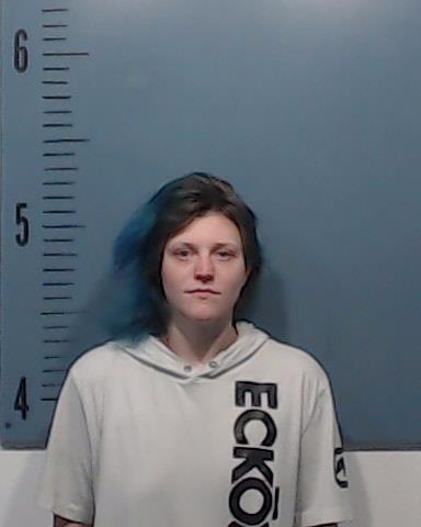 Mitchell, Jaycee Gayle booking photo