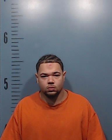 Jackson, Damon Wayne booking photo