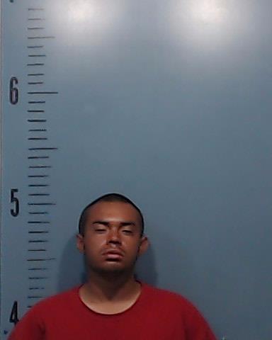 Lara, Samson Bishop booking photo