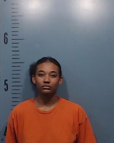 Chambers, Tatianna Elizabeth booking photo