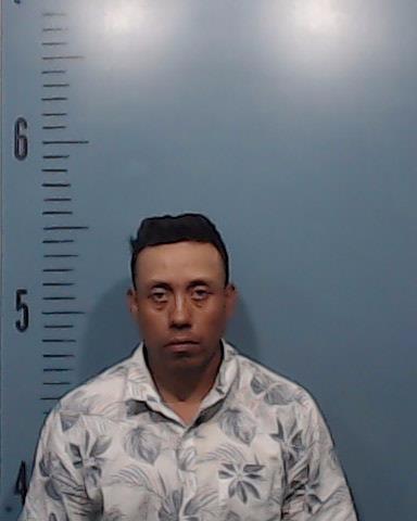 Hernandes-Garcia, Jose Isaias booking photo