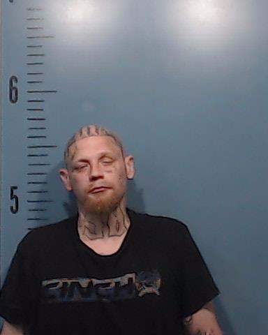 Williamson, Brian Arthur, Jr. booking photo