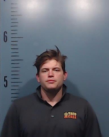 Johnson, Jesse Brandon booking photo