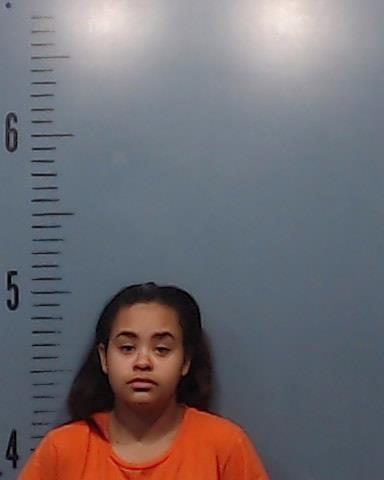 Young, Diamond Hope booking photo