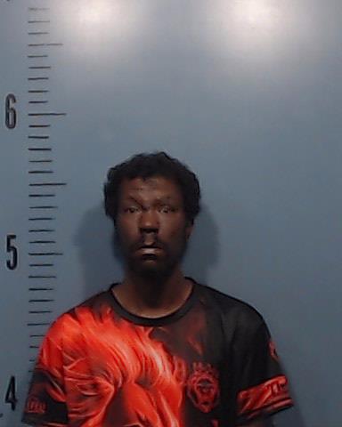 Whitehead, Lewis D arrested by Taylor County SO/PD