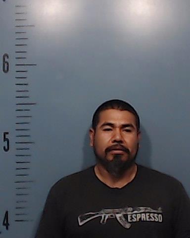 Garnicas-Blancas, Carlos Alonso booking photo