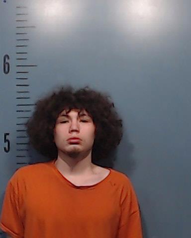 Delgado, Adrian Jesus booking photo