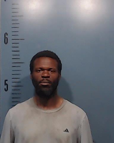 Zahir, Muhammad Sadiqi booking photo