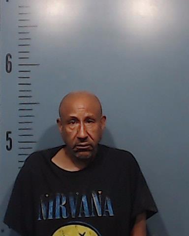 Wilson, Patrick Shanon booking photo