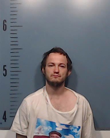 Flannagan, Brian Lee booking photo