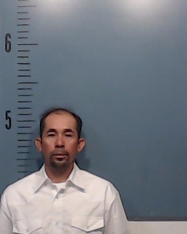 Salmeron-Altamirano, Dolman Francisco booking photo