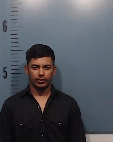 Salmeron-Robleto, Dolman Raul booking photo