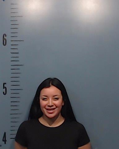 Torres, Priscilla Elise booking photo