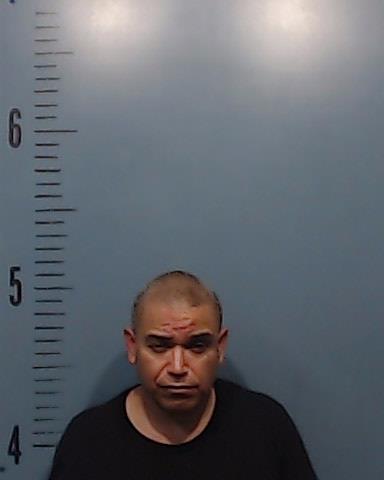 Medina, David, Jr. booking photo