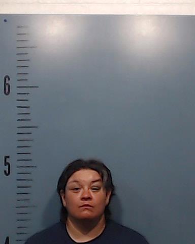 Lugo, Tomasa Martinez booking photo