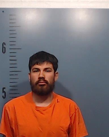 Sanchez-Hernandez, Saul Geovanny booking photo