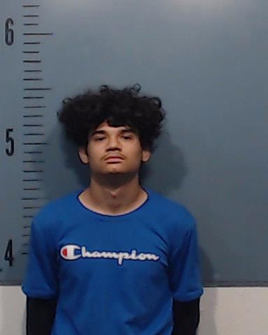 Delagarza, Joel Ricardo booking photo