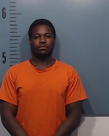 Williams, Jarvis Hasan booking photo
