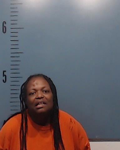 Williams, Brenda Faye booking photo