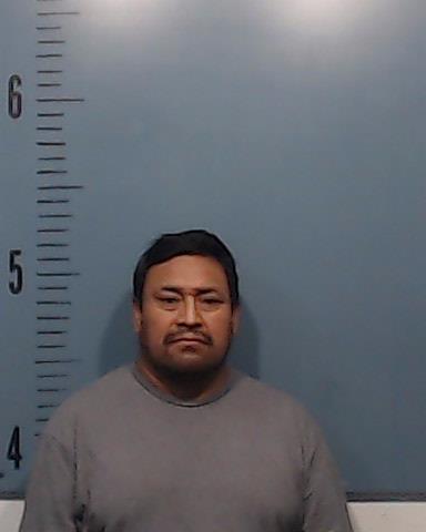 Elias-Pelico, Ovidio booking photo