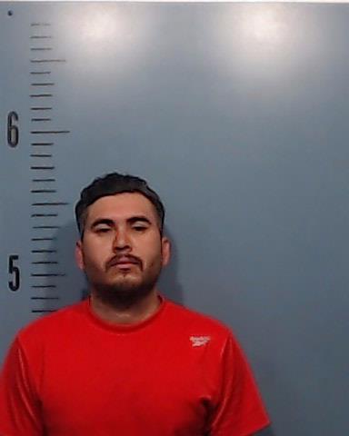 Pineda Gomez, Jesus booking photo